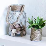 Avec Vue Et Piscine Algarve Portugal Apartment